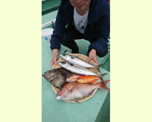 鯛を釣ったお客様
