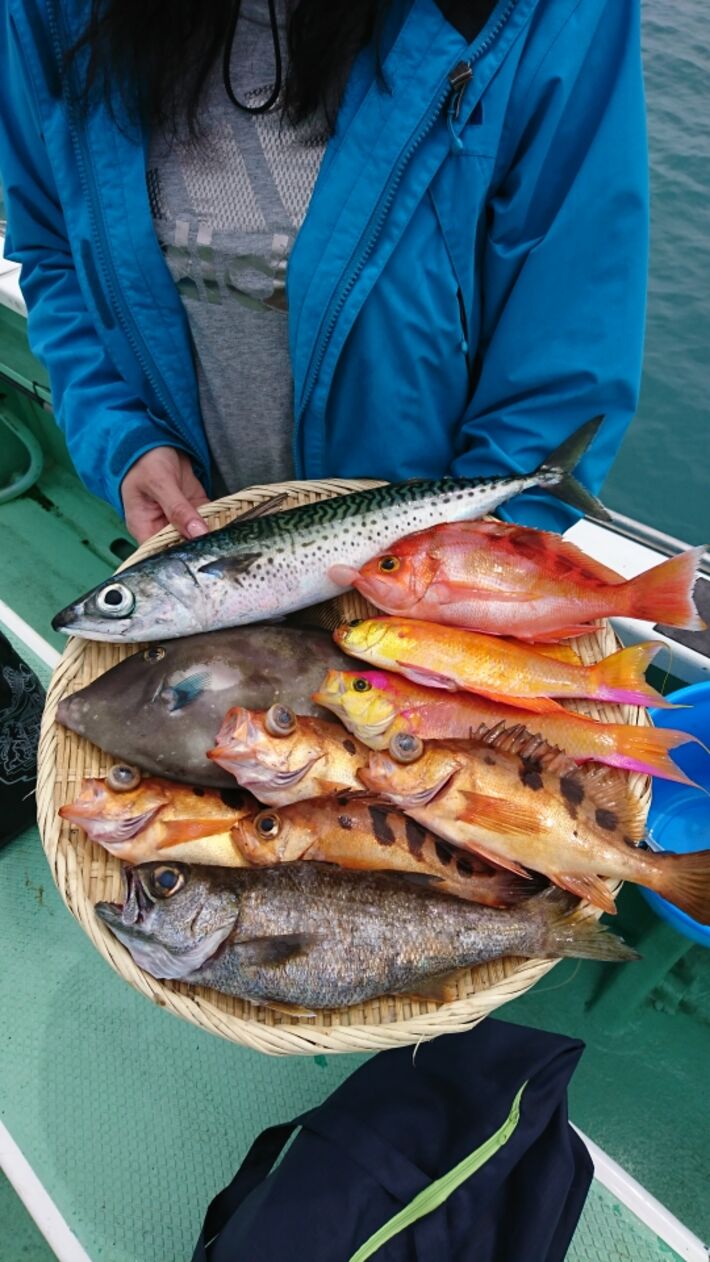 女性が釣った魚