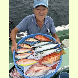 IMG_0598