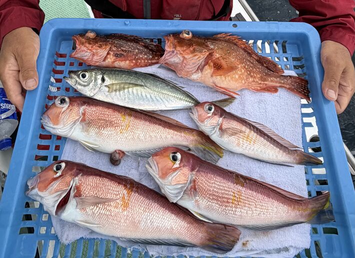IMG_0661