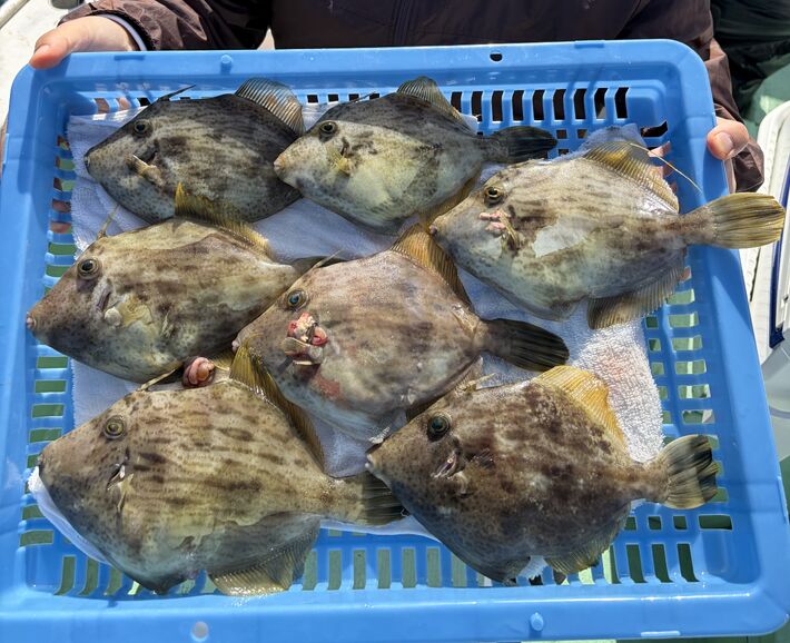 IMG_1965