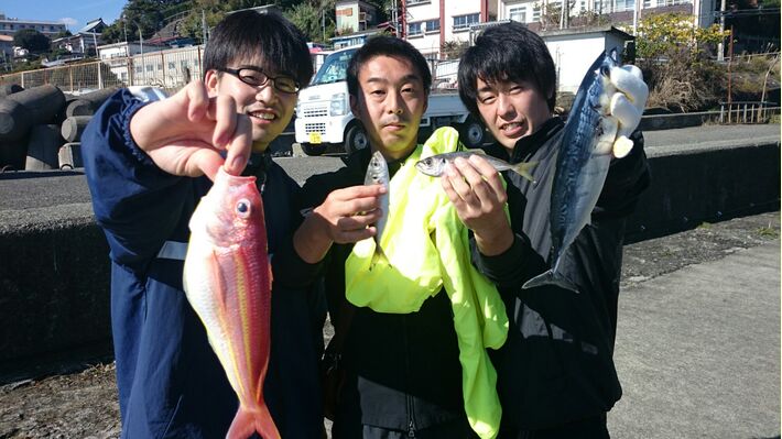 wpid-wp-1448094598135